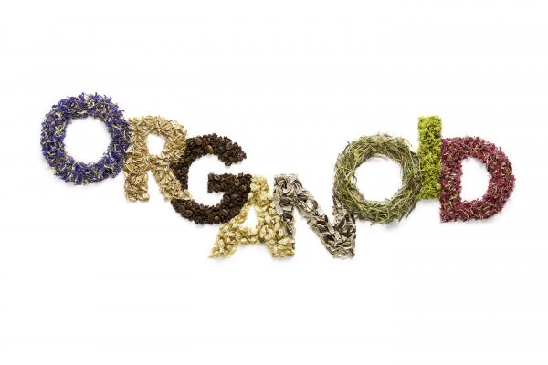 Organoid Logo